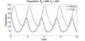 rabbit-population