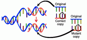 dna-mutation